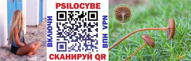 кракен онион  Магнитогорск  Псилоцибиновые грибы Psilocybe 