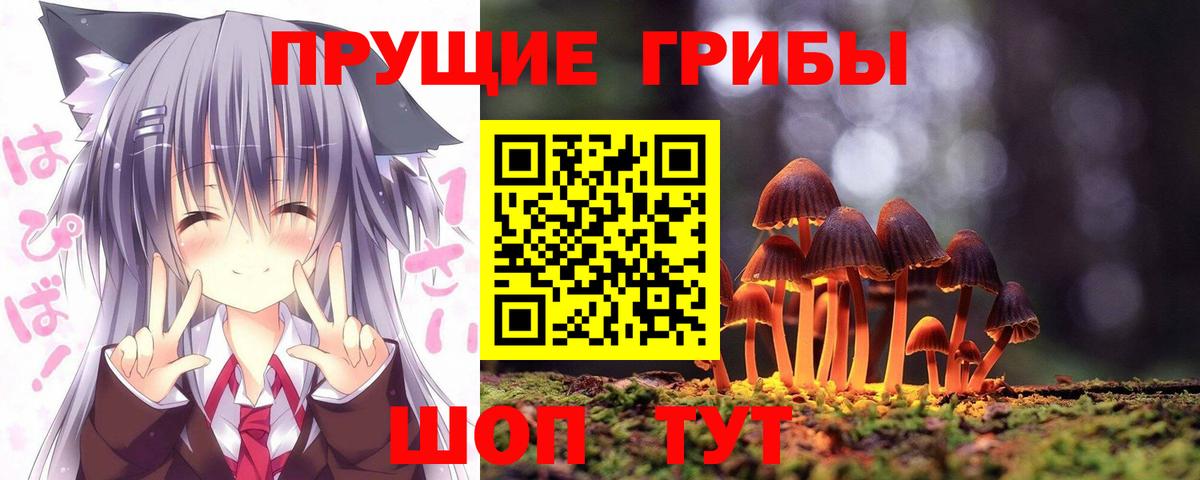 Магнитогорск  наркотики  Псилоцибиновые грибы мицелий  Вход с VPN  Псилоцибиновые грибы ЛСД 