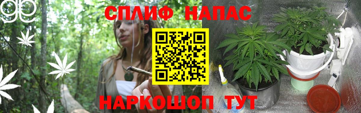 Бошки марихуана Amnesia  Канабис семена  Вход с VPN  Магнитогорск  Марихуана сатива 